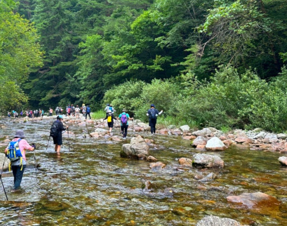 산행여행, ‘50~60대 여성’ 힐링...